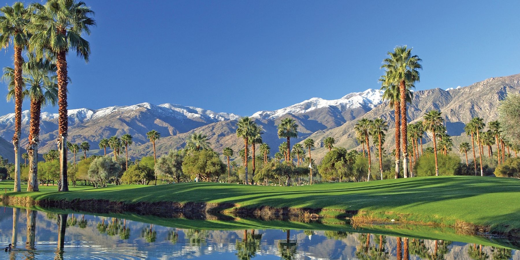 Golfen Palm Springs - California - Amerika - Doets Reizen
