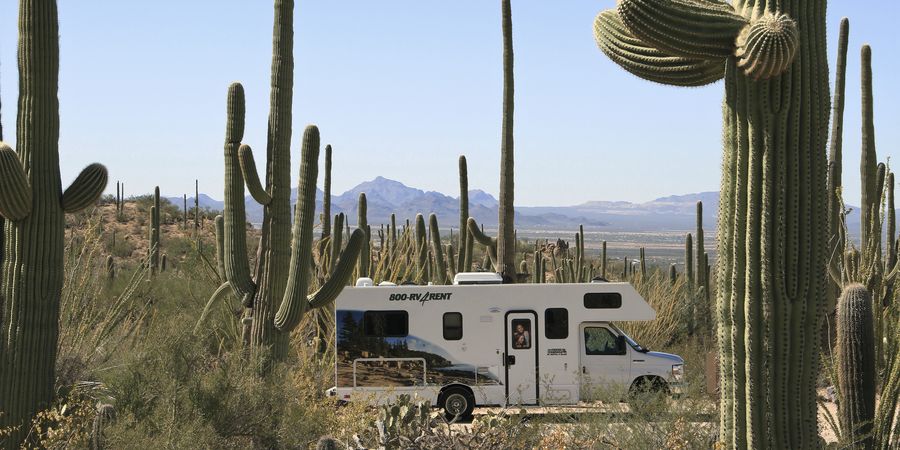 Saguaro National Park - Cruise America - Camper huren Amerika -Camperreis - Doets Reizen