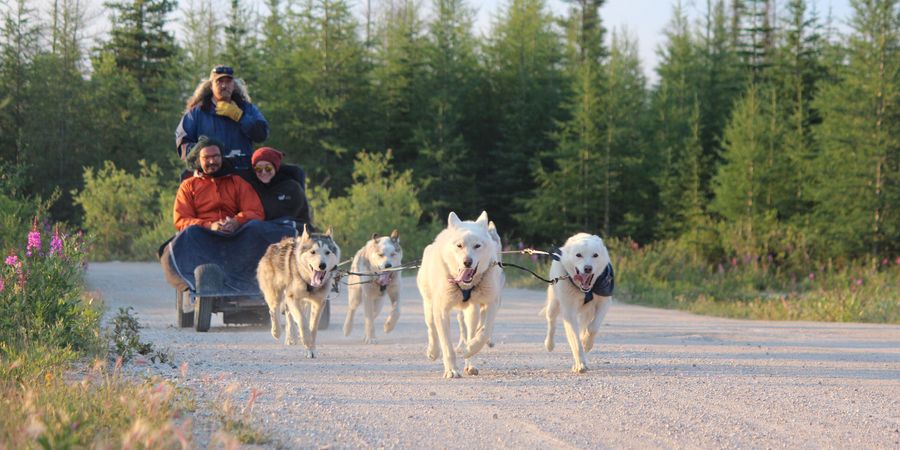 Dog Mushing Churchill - Manitoba - Canada - Doets Reizen