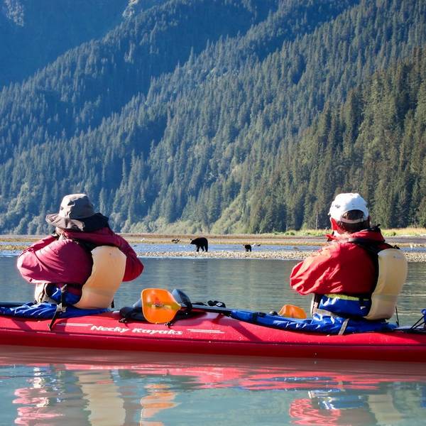 Kayaking Tour - Bear Glacier - Seward - Alaska - Doets Reizen