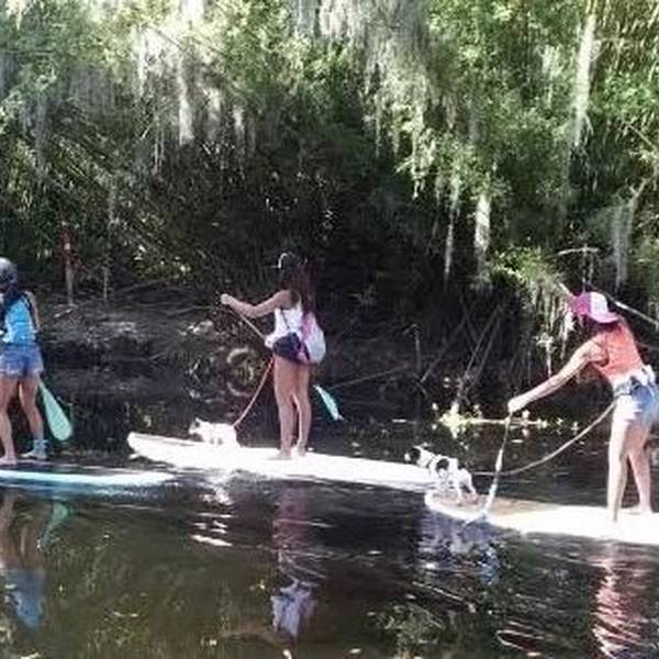 Sup Tour - Everglades | Florida | Doets Reizen