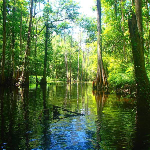 Sup Tour - Everglades | Florida | Doets Reizen